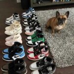 how to check jordan fake by identifying dealers